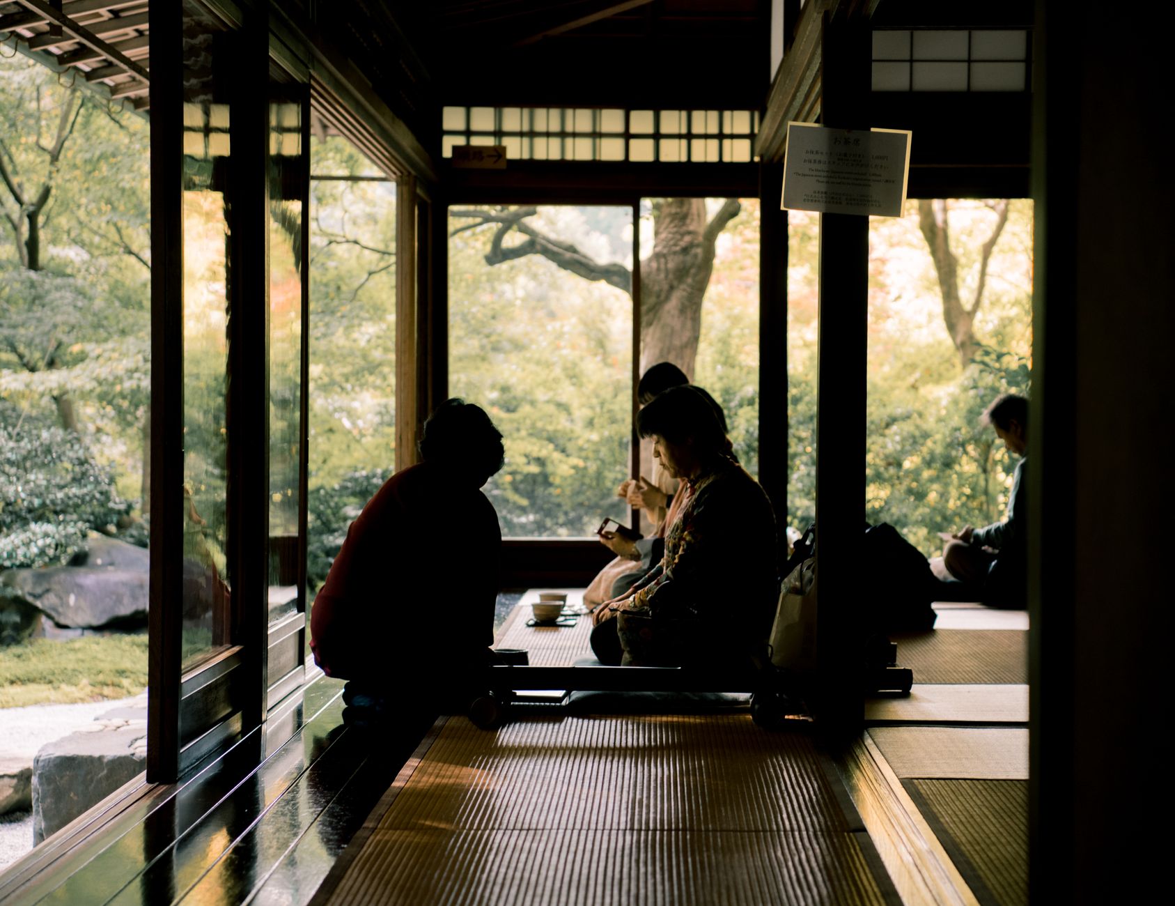 Bamboo forest pathway in Kyoto